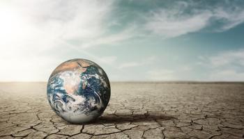 eMallorca Experience