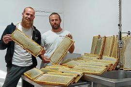 eMallorca Experience