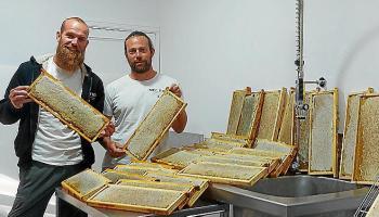 eMallorca Experience