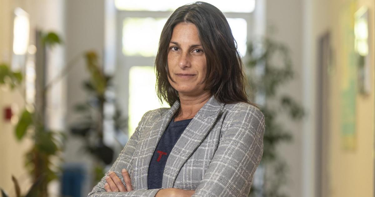 Multiorgan Donor Activates 100 Professionals