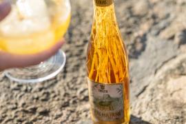 Hierbas Familia Marí Mayans (Ibiza)