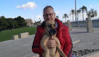 "&iquest;Alguna vez hab&eacute;is visto un KO?"