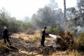 PALMA. SUCESOS. INCENDIO EN LA CARRETERA DE MANACOR. FOTOS: ALEJANDRO SEPÚLVEDA