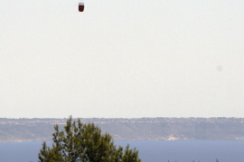 DÍA DESPUÉS DEL INCENDIO DE CALVIÁ.