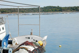 LA COFRADIA DE PESCADORES ESTA EN CONTRA DEL PROYECTO DE LA PISCIFACTORIA DE PORTOCOLOM