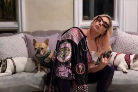 Lady Gaga recupera ilesos a los dos perros que le habían robado