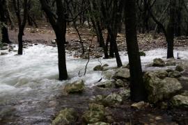 Ses Fonts Ufanes han brotado 76 veces desde que son monumento natural