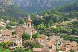 Valldemoss