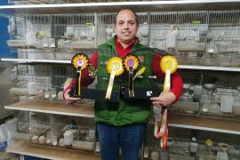 «La cría de canarios exige dedicación y también estudio»