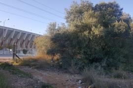 La nueva pista de atletismo de Palma da otro paso