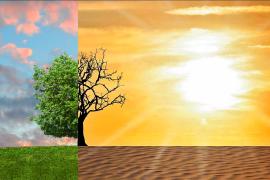 La Unión Europea cuenta con una serie de estrategias para lograr objetivos de neutralidad en 2050.