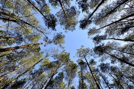 Objetivo de la UE: neutralidad climática de aquí a 2050