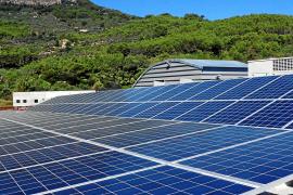 fabrica gelats fet a soller