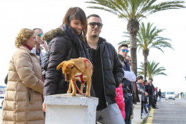 Sant Antoni, el día de los animales