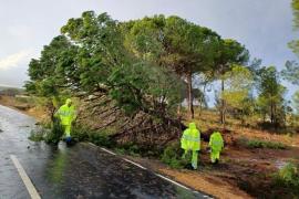 Huelva.- Sucesos.- Un fallecido al volcar el vehículo en el que viajaba tras un desprendimiento en Trigueros