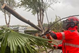 Andalucía supera las 1.500 incidencias por la borrasca Bernard, con un muerto en Trigueros y heridos en Moguer y Granada