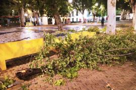 Sevilla.-Sucesos.-Desactivado el Plan de Emergencias en Sevilla tras cerca de 500 incidencias por las rachas de viento