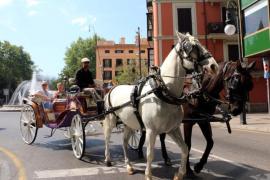 Imagen de archivo de una galera en Palma
