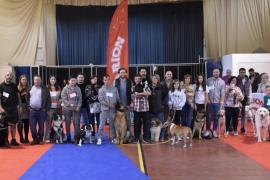 Más de un centenar de perros compiten en el Concurso Nacional de Belleza Canina Ciudad de Monzón (Huesca)