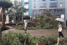 Huelva.- El Ayuntamiento abre una oficina de atención a los ciudadanos por los daños de la borrasca Bernard