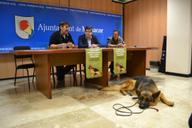 	Manacor acoge el Certamen Internacional de raza de pastor alemán