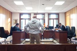 Condenado en Palma el dueño de una perra por no llevarla al veterinario tras saber que tenía leishmaniosis