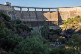 Feragua: Los regantes de la cuenca del Guadalquivir afrontan la campaña "con menos del 5%" de sus necesidades de agua