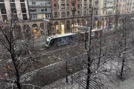 Nieve, Zaragoza, paseo Independencia, frío