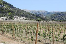 En la zona de Gabellí, en las proximidades de la ermita de Campanet, existió el pueblo de Sant Miquel.