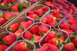 La Unió denuncia una segunda detección de fresas con hepatitis A procedente de Marruecos