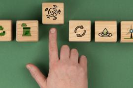 eMallorca Experience