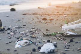 eMallorca Experience