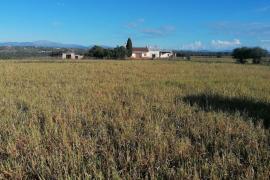 La parcela es de carácter agrario y, según la documentación, cuenta con una casa en estado de semiabandono.