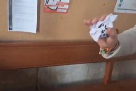 Vox echa a la basura «'l'escola en català'»