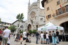 Palma Pilar Pellicer PART FORANA. SOLLER. CELEBRACIÓ DE L'ECO RALLYE VIRTUAL