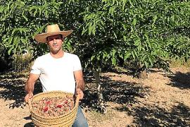 eMallorca Experience