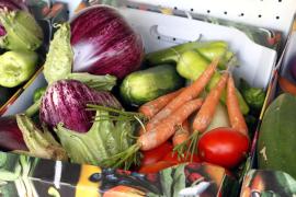 eMallorca Experience