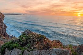 eMallorca Experience