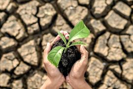 eMallorca Experience