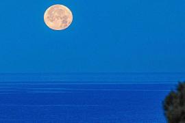 Luna de fresa en Mallorca.