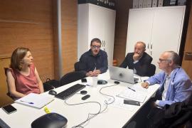 Zaragoza.- La DPZ pondrá en marcha nuevas ayudas para que los ayuntamientos puedan gestionar sus colonias felinas