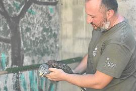 Dos décadas de protección del entorno y de cuidado a más de 70.000 animales