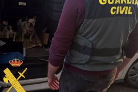 Almería.-Sucesos.-Dos detenidos y seis investigados por la venta y cría de mascotas simulando ser una protectora