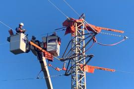 Endesa adecua más de 450 apoyos de la red eléctrica de Baleares para proteger la avifauna