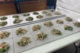 Fallas.- La Falla Rubén Darío-Fray Luís Colomer, un "paraíso sin gluten" para que sus falleros se sientan "como en casa"