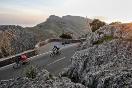 Mallorca 312
