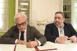 Aceite del Somontano obtiene la Protección Nacional Transitoria para comercializarse como Denominación de Origen