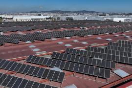 Agro.- Damm instala 7.500 paneles solares en sus centros logísticos de Barcelona y Murcia