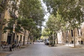 Barcelona descarta replicar el modelo de ejes verdes por sus "costes y dinámicas de convivencia"