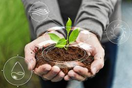 emallorca experience economia regenerativa